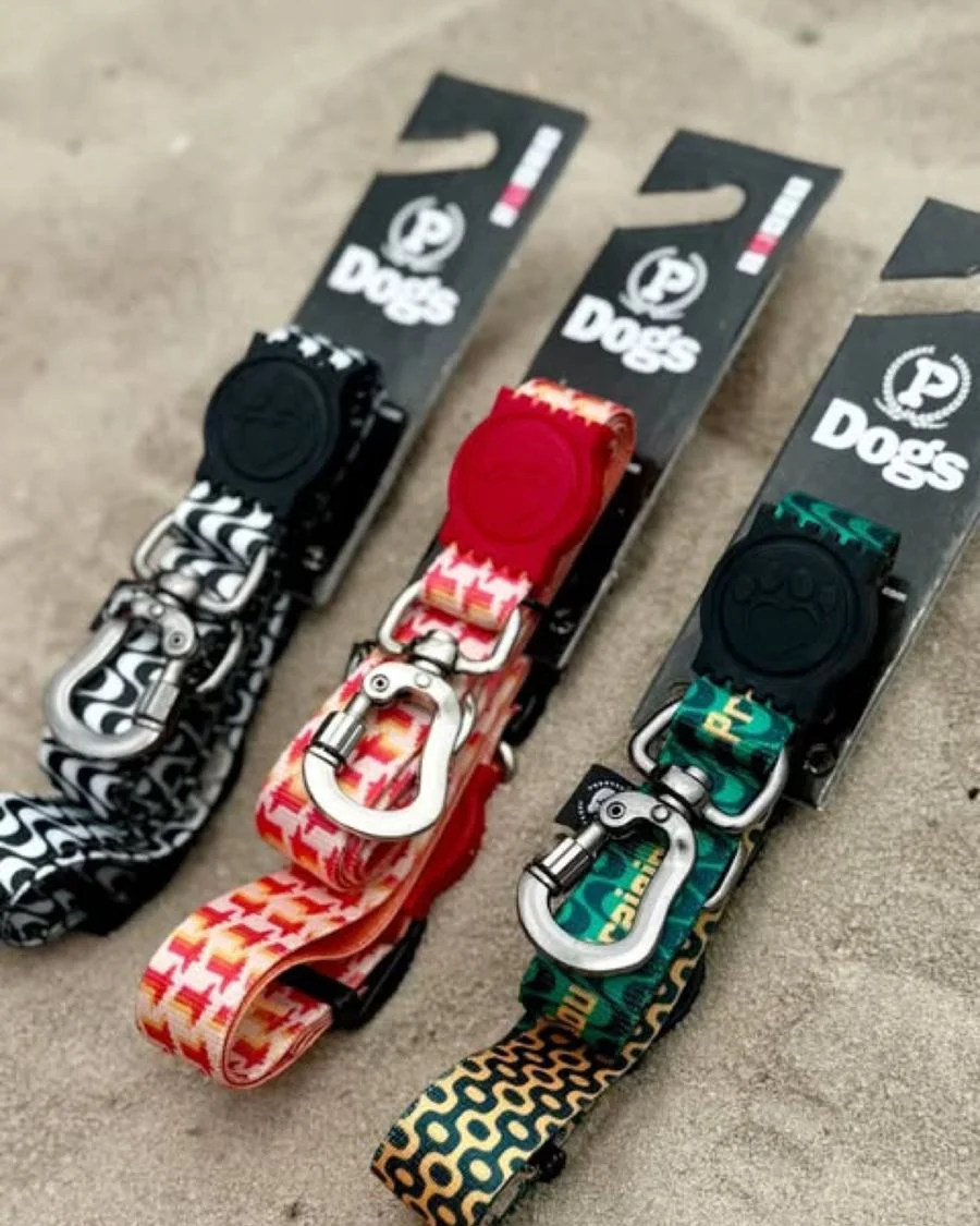 Coleiras P Dogs com estampas diferentes sobre a areia